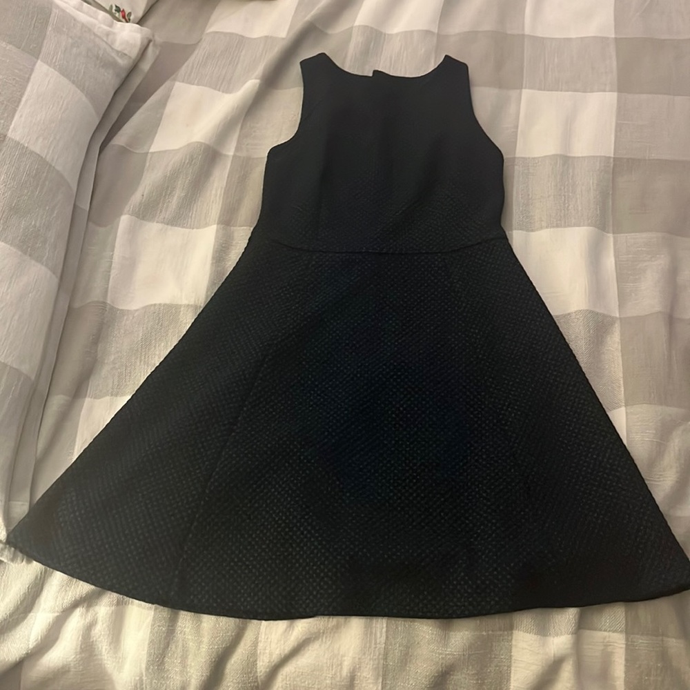 Ann Taylor Loft fit and flare size 6